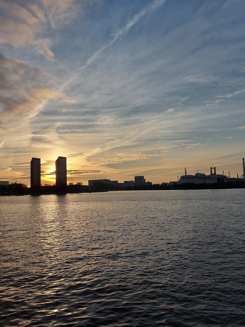 Maaskade Noordereiland