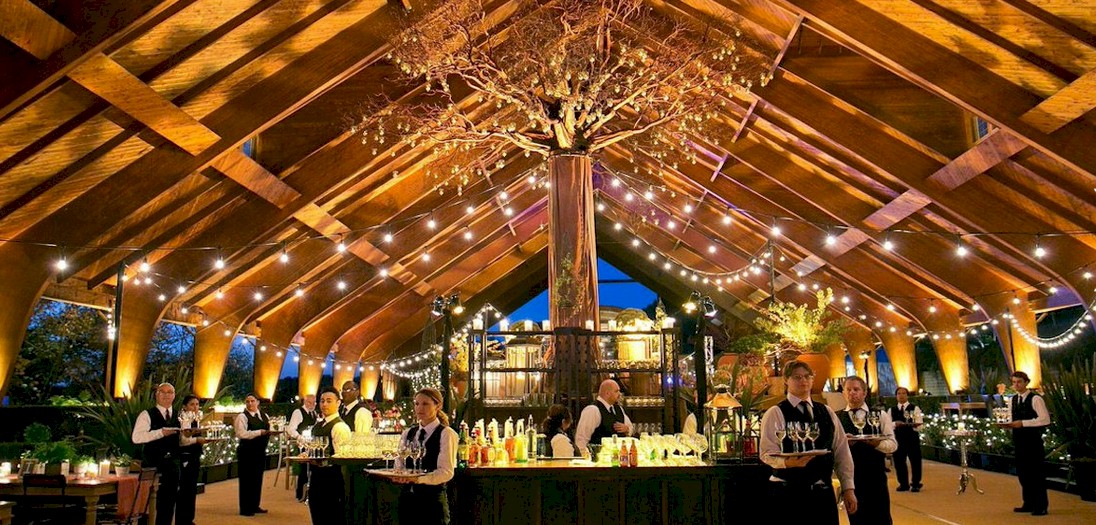 Mandy Scott Events: Google Places image 1