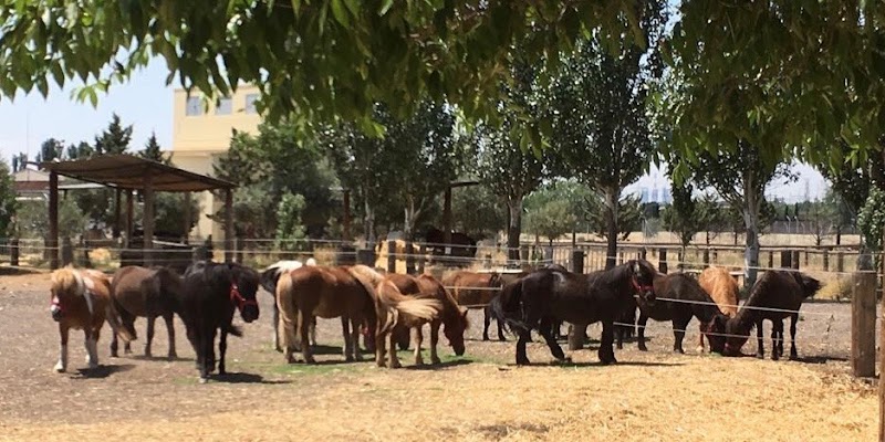 San Jorge Riding School