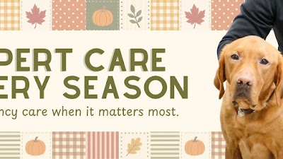 Bellevue Veterinary Emergency & Specialty