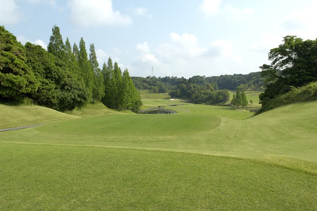 Forest Geino Golf Club - Photo 1