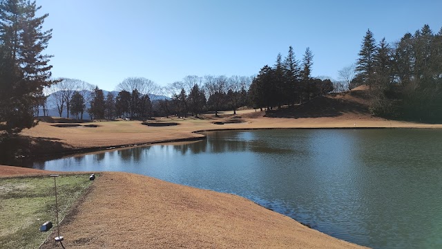 Minakawa Castle Country Club - Photo 8