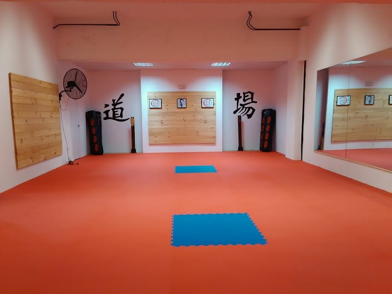 Aikido Villamadrid