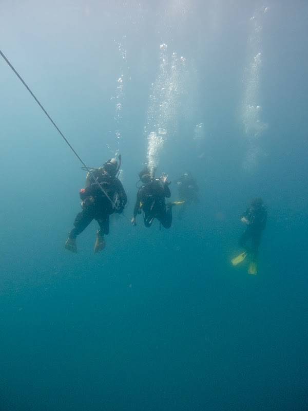 Diving & Snorkeling in Arguineguín