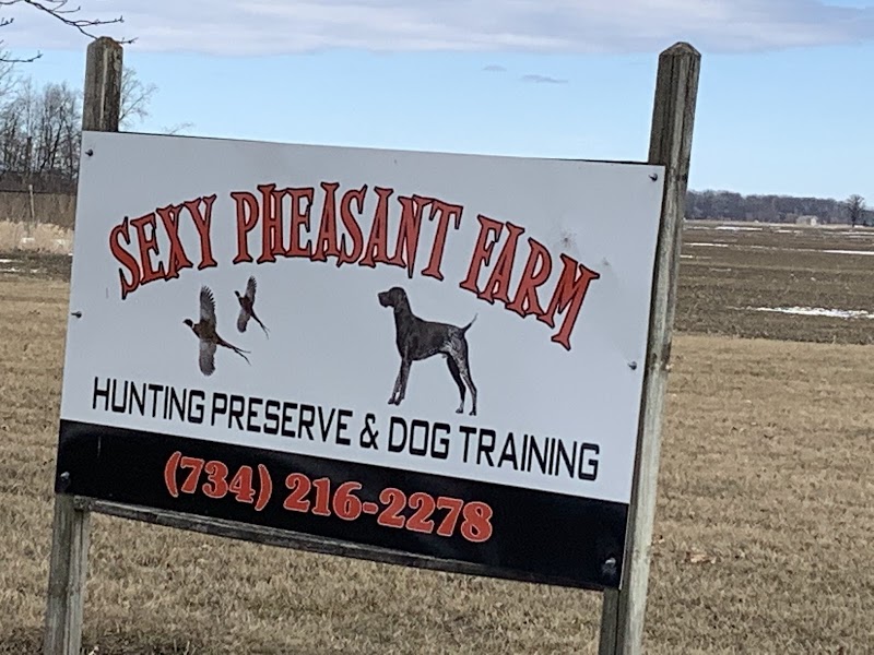 Sexy Pheasant Farm - Photo 2