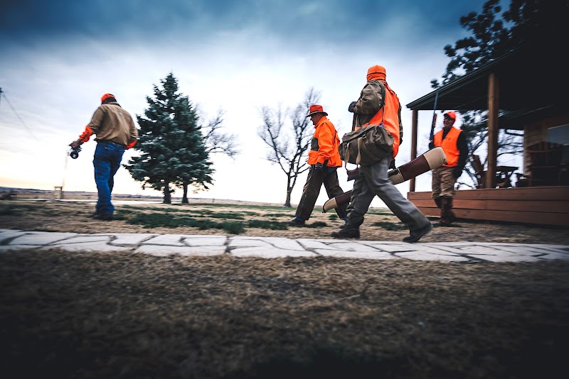 Pheasant Run Ranch - Photo 6