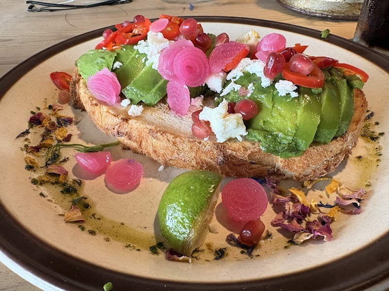 The Observatory Swansea