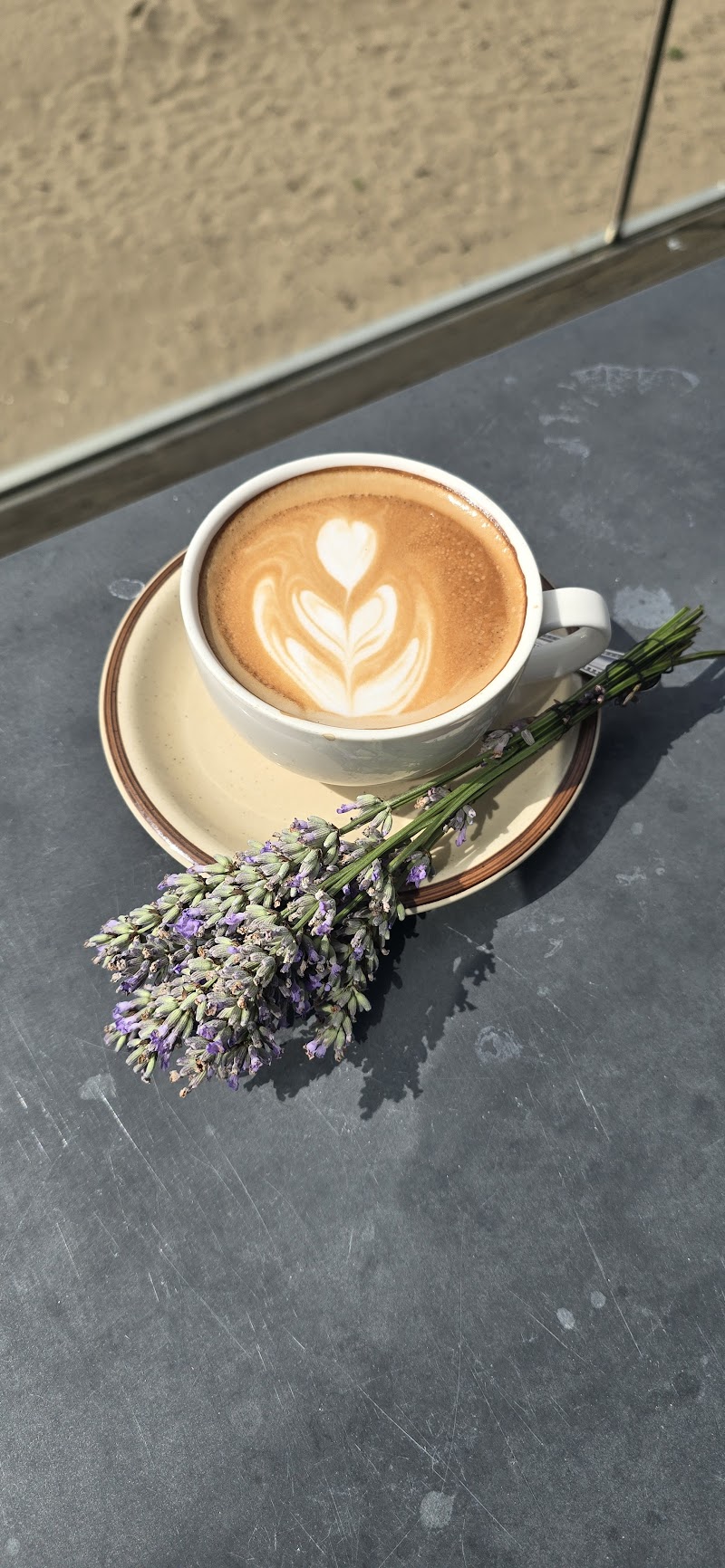 The Observatory Swansea