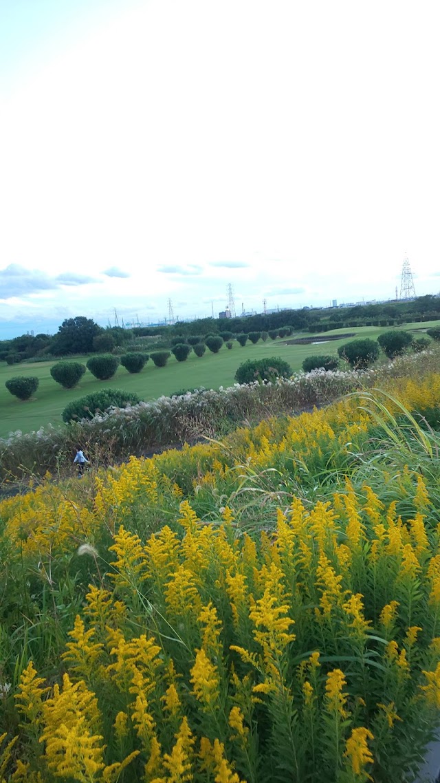 Takatuki Golf Club - Photo 9