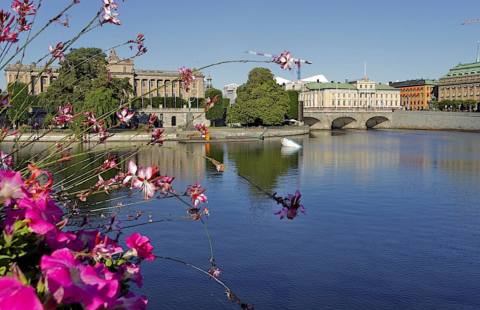 Best Dog-Friendly Hotels in Stockholm, Sweden