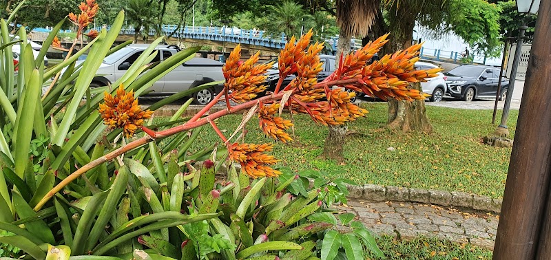 Consultório Odontológico Dr. Reinaldo - foto 2