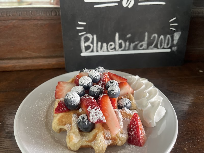 Bluebird Coffee Co. photo 2