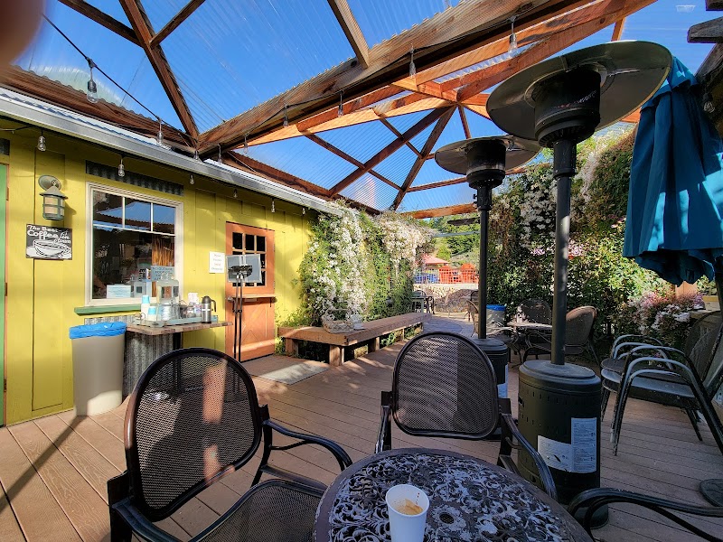 Lily's Coffee House photo 1