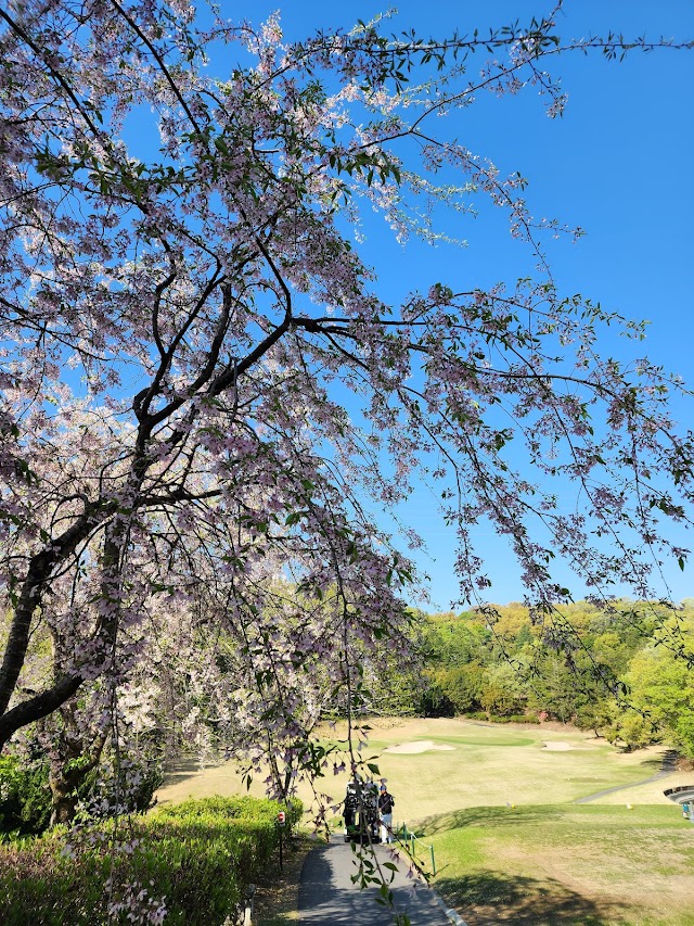 Kita Musashi Country Club - Photo 2