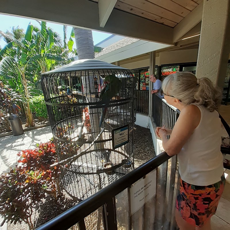 Jerry's Foods photo 4