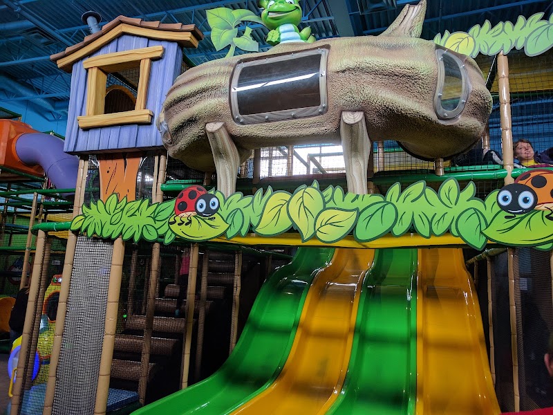 Treehouse Indoor Playground - North Calgary photo 4