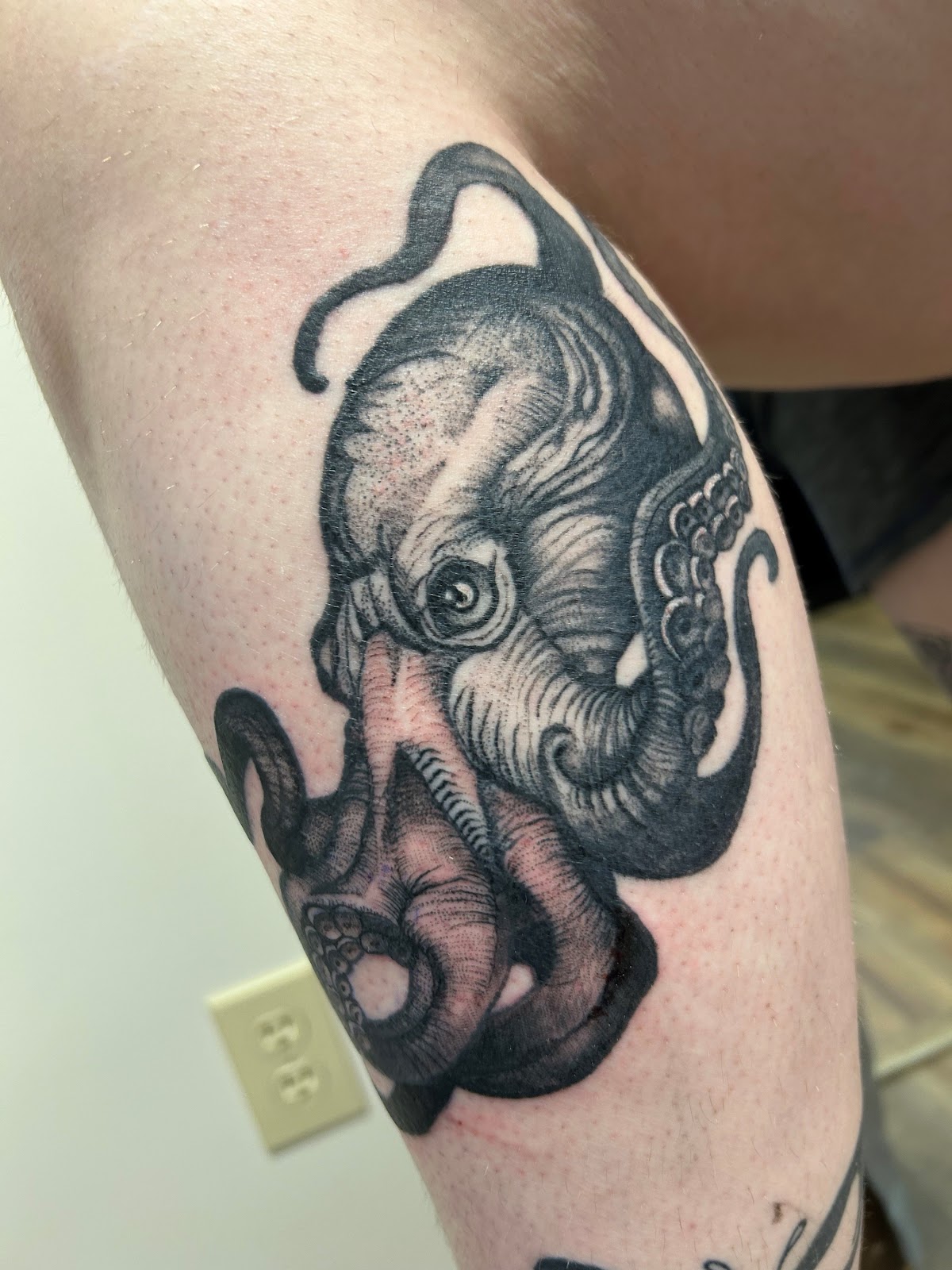 Red Bird Tattoo Studio tattoo parlor in Bethel Park, PA