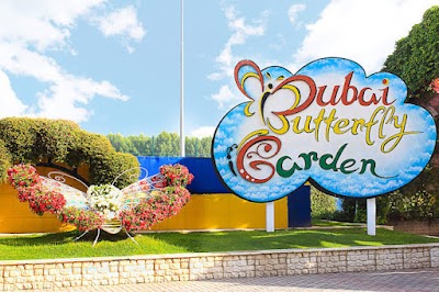 Dubai Butterfly Garden