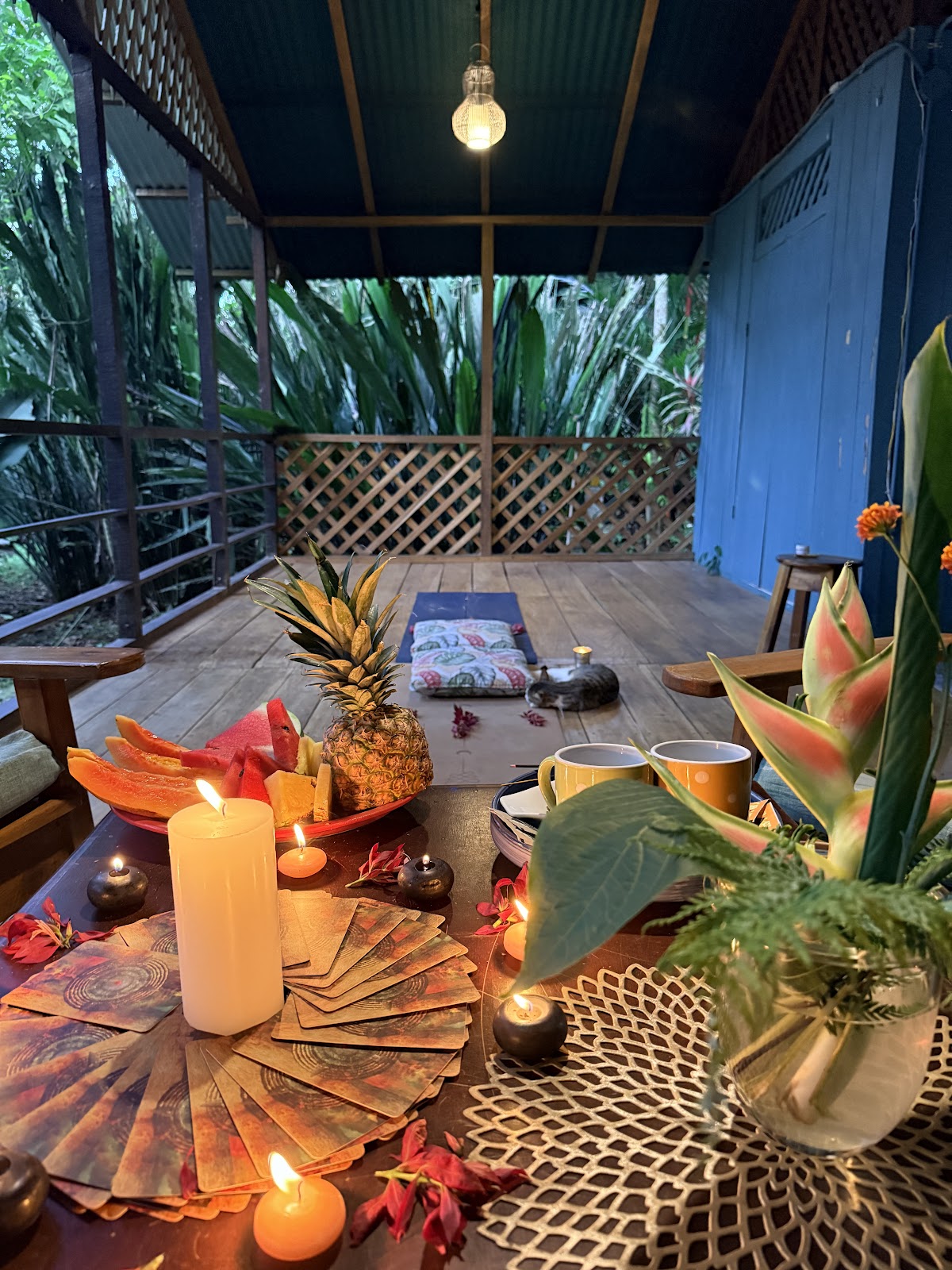 Julie LiT Yoga Teacher | Life Coach | Retreats — 4