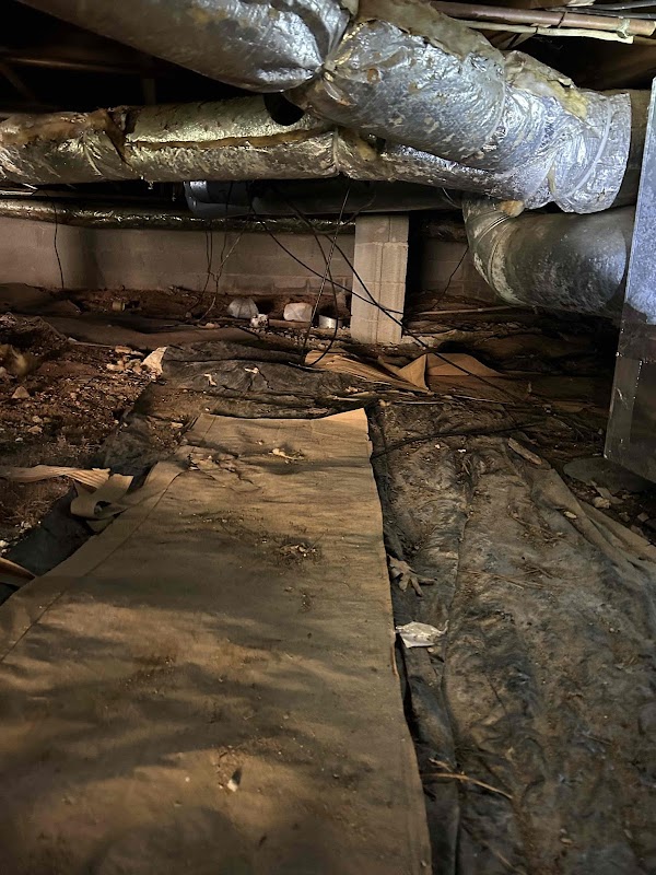 Atlanta Mold and cleaning LLC Mold Removal & Testing — photo