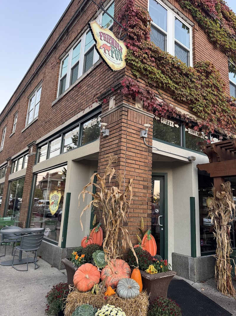 Friendly Fox photo 3