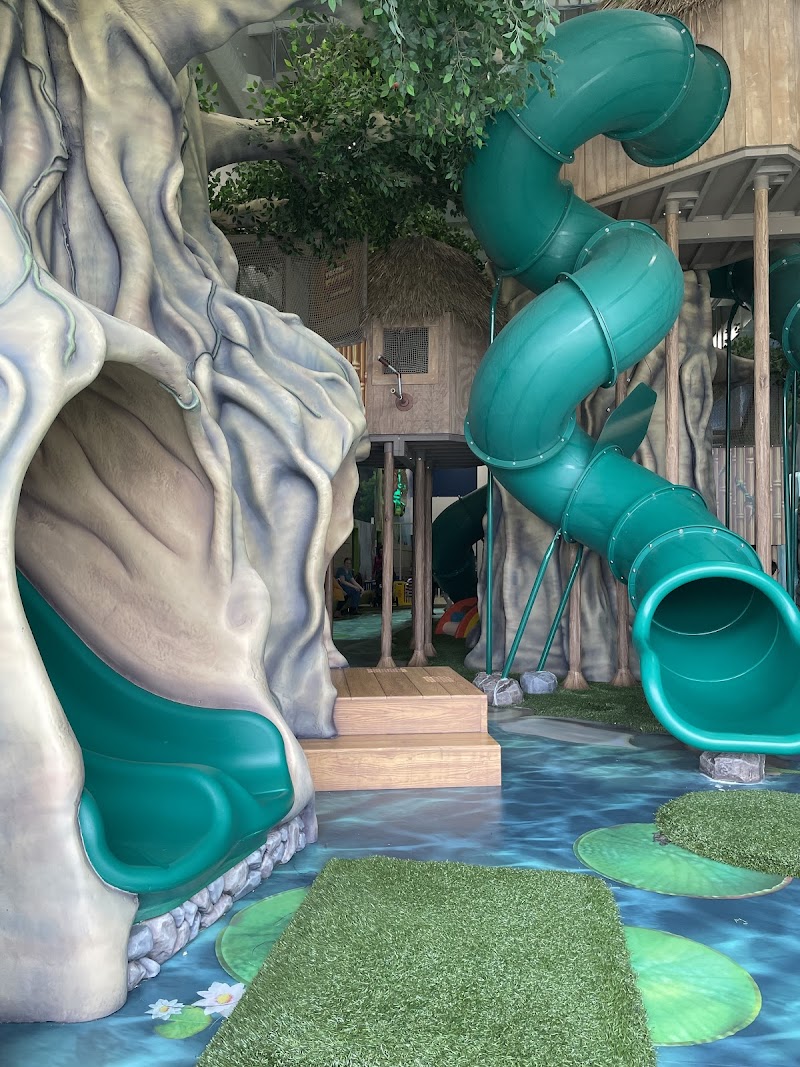 TreeTop Escape — Indoor Playground in West Chicago