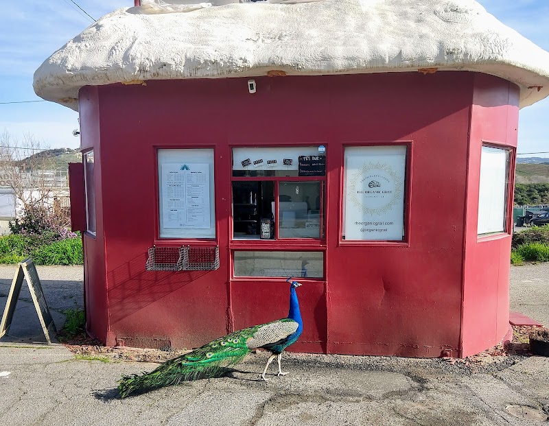 Plume & Brew Coffee photo 1