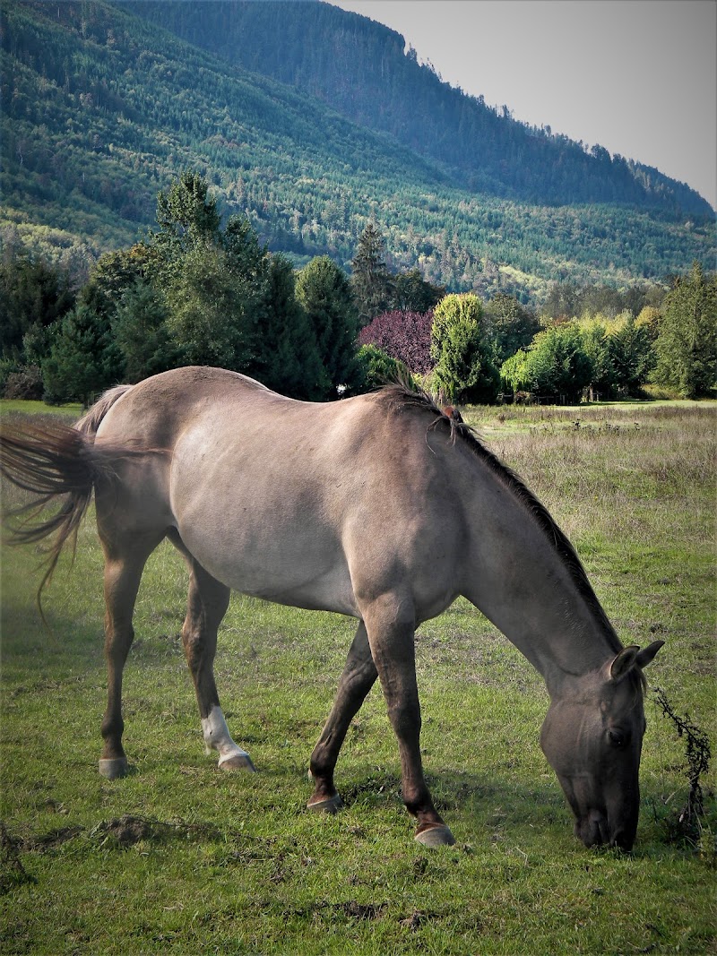 Breezy Valley Ranch - Photo 1