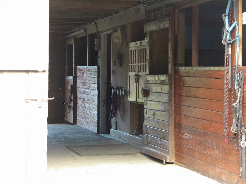 Breezy Valley Ranch - Photo 3