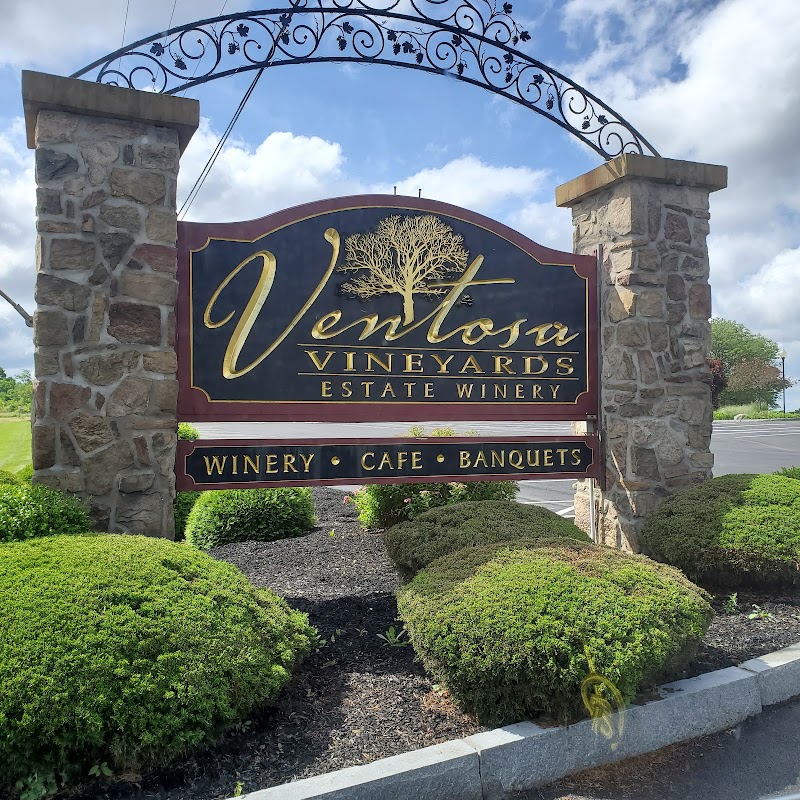 Ventosa Vineyards photo 2