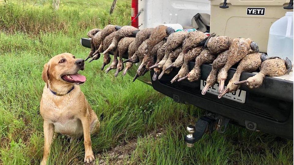 Top-Flight Hunting Preserve