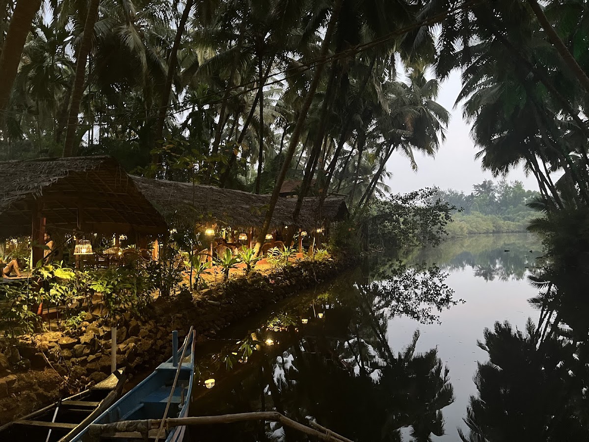 Palm Trees Yoga Resort — 4