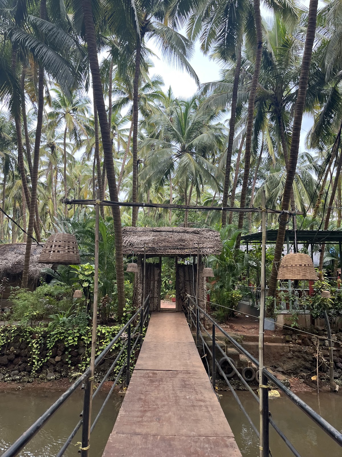 Palm Trees Yoga Resort — 3