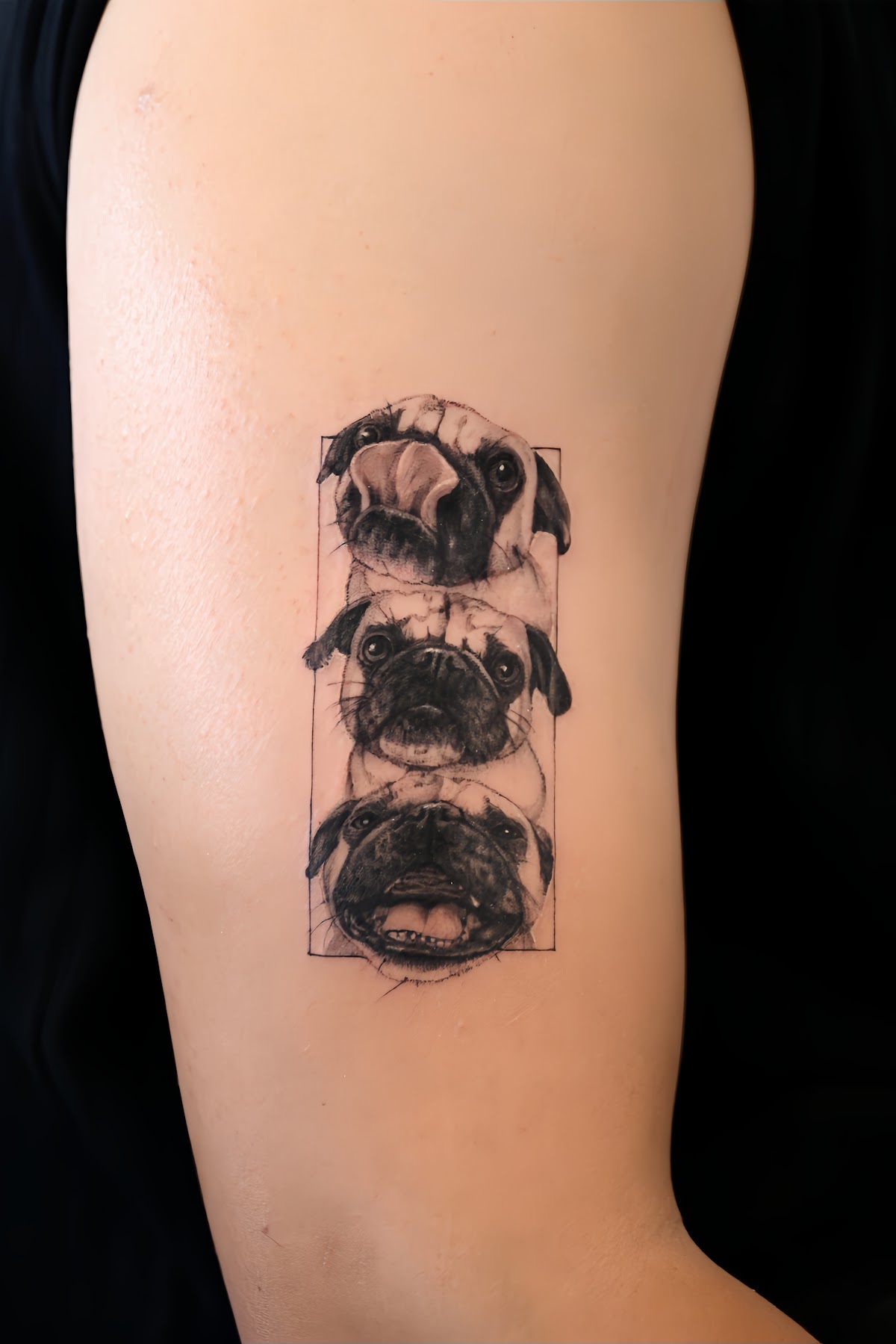 Modo Ink Tattoo Studio — tattoo studio near Torrance
