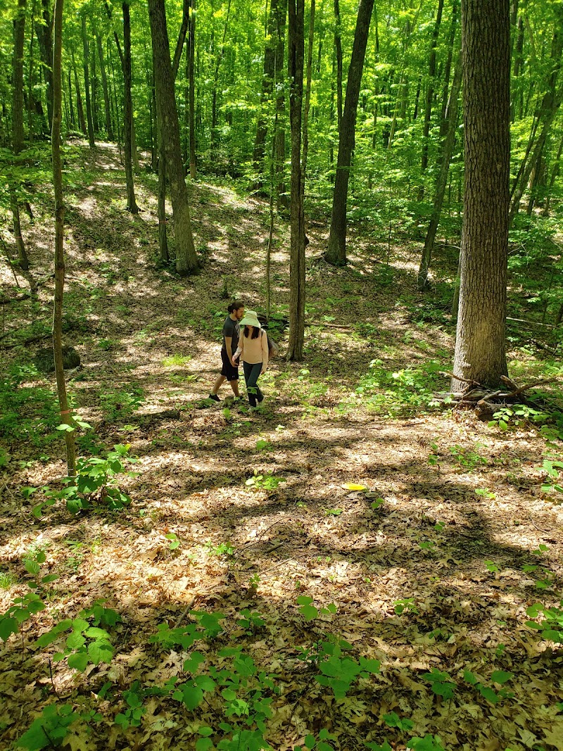 Meat Bone Disc Golf Course photo 2