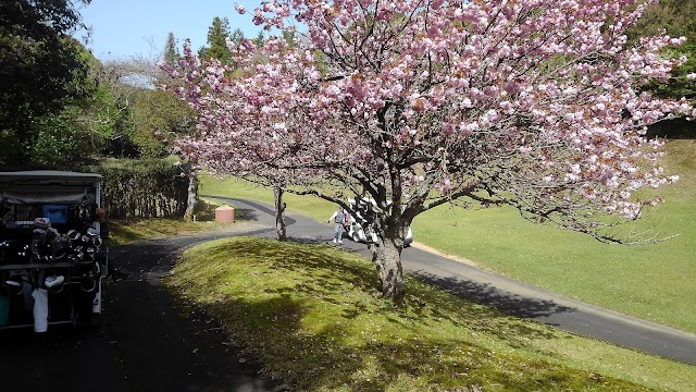 Central Park Golf Club - Photo 8