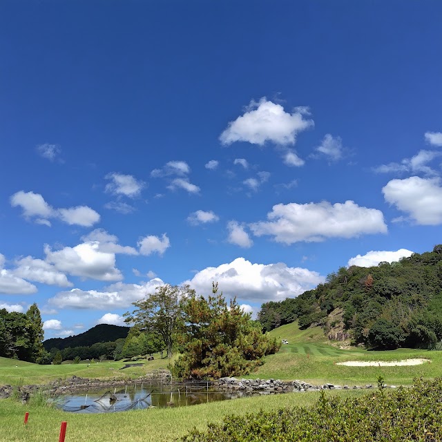 Central Park Golf Club - Photo 9