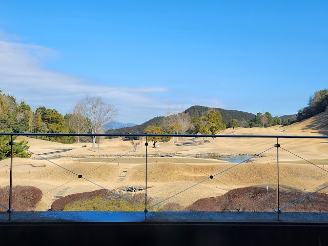 Central Park Golf Club - Photo 5