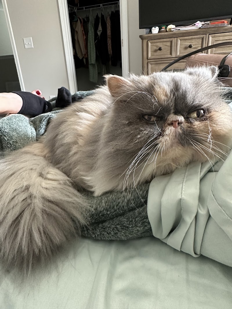 Topsail Animal Hospital