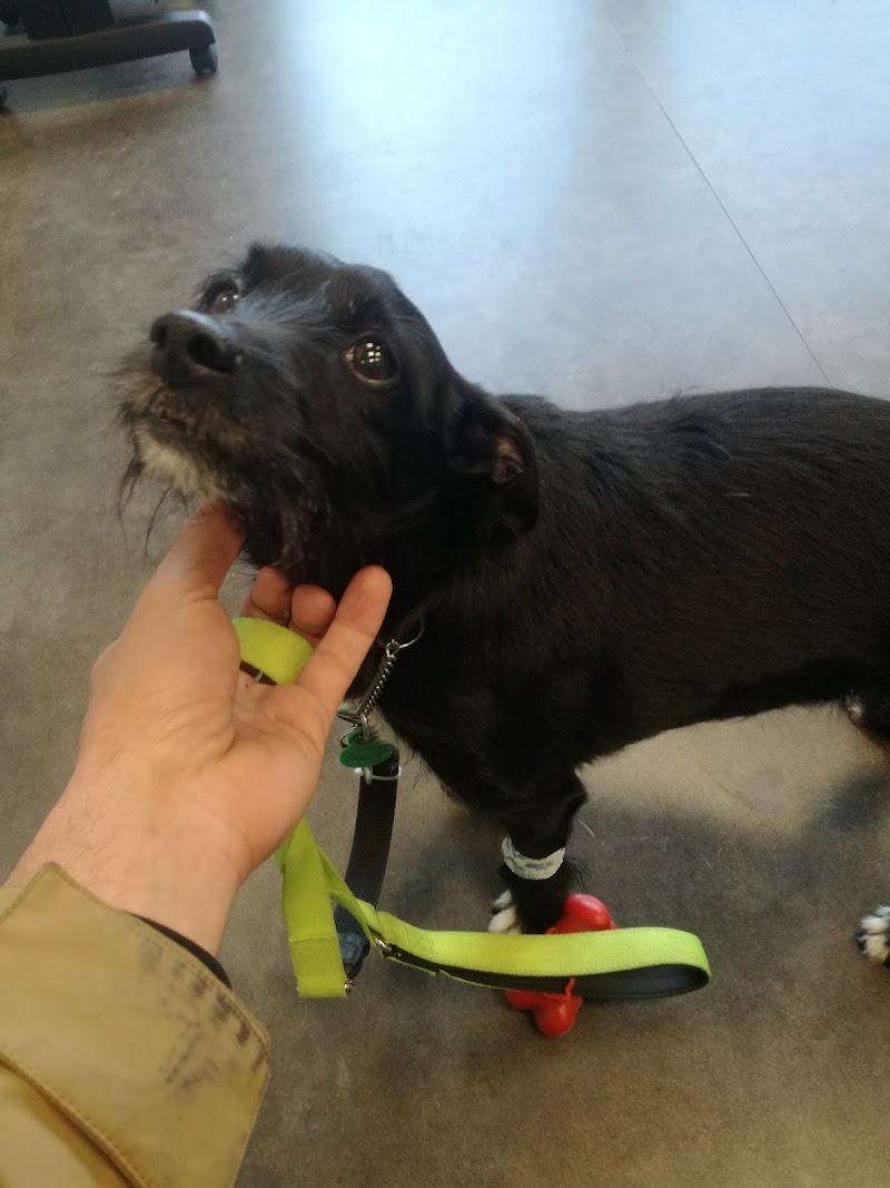 Clínica Veterinaria Dr. Rafael Díez