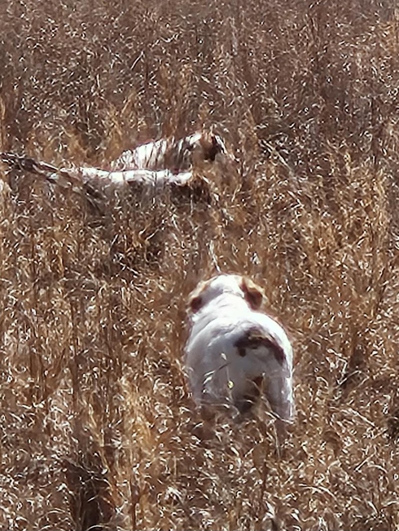 OK Flying Feather Guide Service - Photo 2