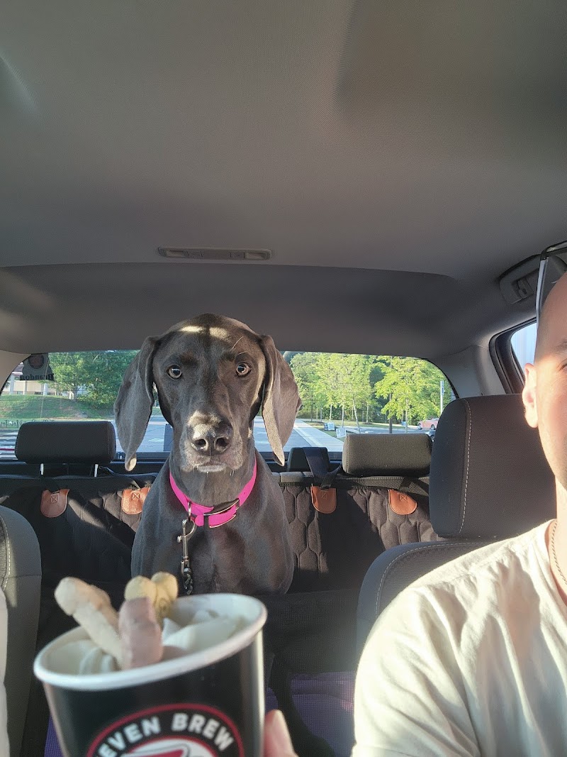 7 Brew Coffee photo 4