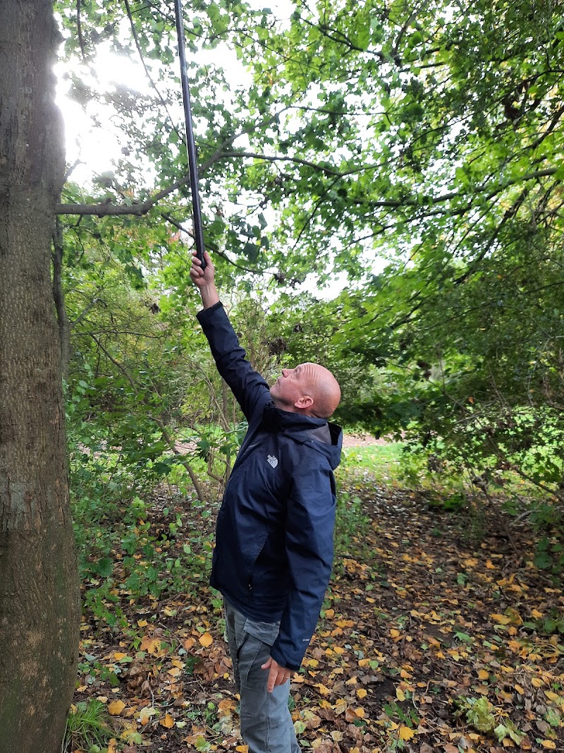 Bodegraafse Bos