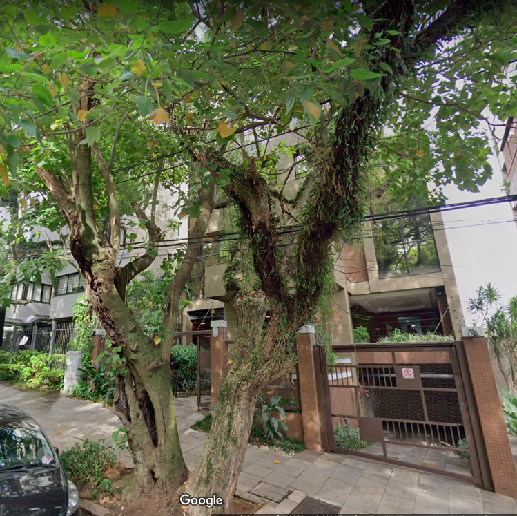 Ricardo Abreu - Endodontia Microscópica - foto 4