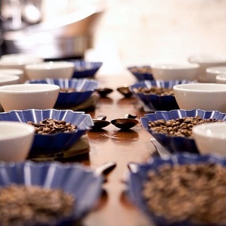 Stone Creek Coffee - Factory Café photo 3