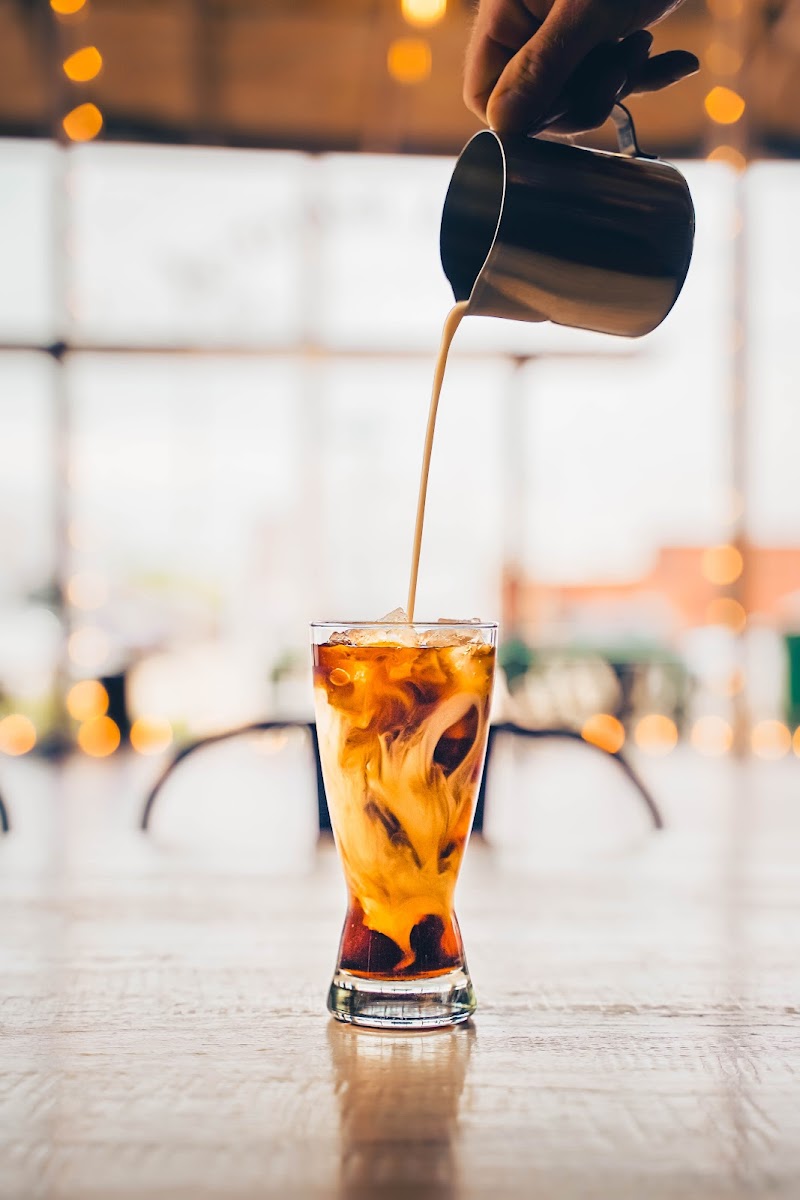 Opera House Coffee photo 2