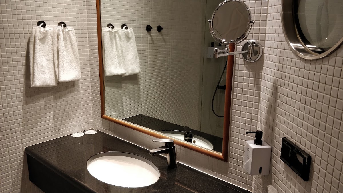 Scandic Simonkenttä, dog-friendly hotel, photo 3