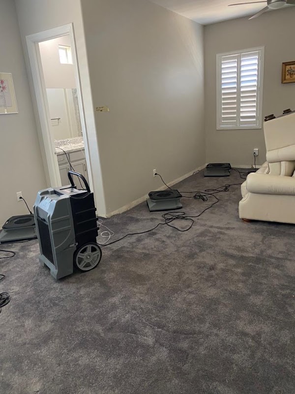 Water Damage Professionals — photo