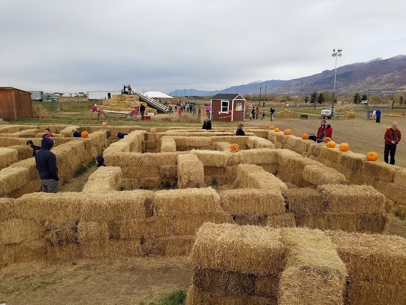 Pack Farms - Photo 1