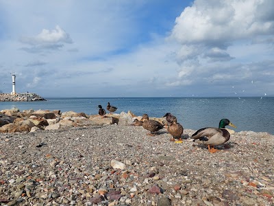 1. Balıkçı Limanı - Nakliyat